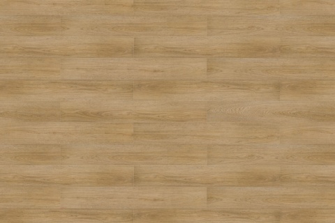 Korner Solid Floor Dąb Prospero