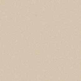 CERAD MONLIGHT BEIGE 60 x 60