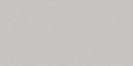 CERAD MONLIGHT GREY 30 x 60