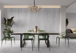 CERRAD DIGNITY LIGHT GREY 120 x 120