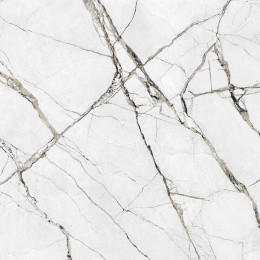 CERRAD OVATION LIGHT GREY 120 x 120