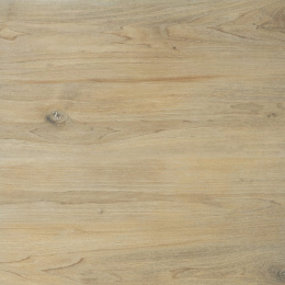 CERRAD RAGAYA CREAM 2.0 60 x 60