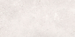 CERRAD GOTEC GT10 LIGHT GREY 30 x 60