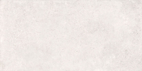 CERRAD GOTEC GT10 LAPPATO LIGHT GREY 60 x 120