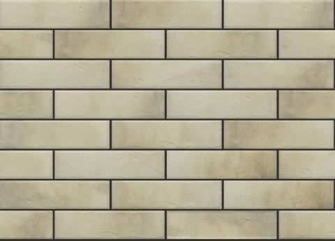 CERRAD RETRO BRICK SALT 6,5 x 24,5