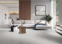 CERRAD DIOSA LIGHT GREY 60 x 120