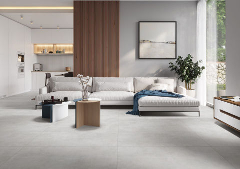 CERRAD DIOSA LIGHT GREY 60 x 60